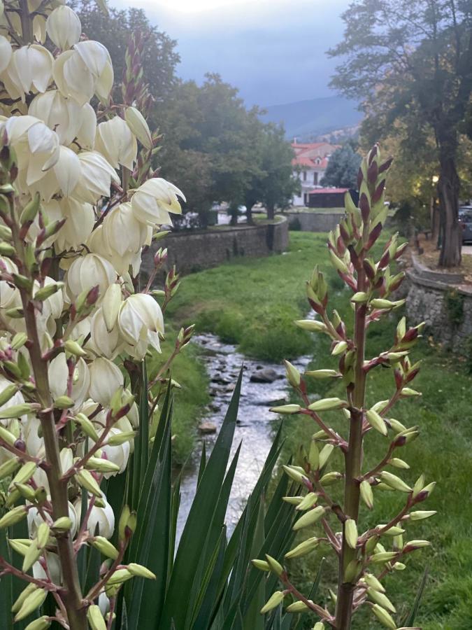 Urban River House Villa Florina Exterior photo