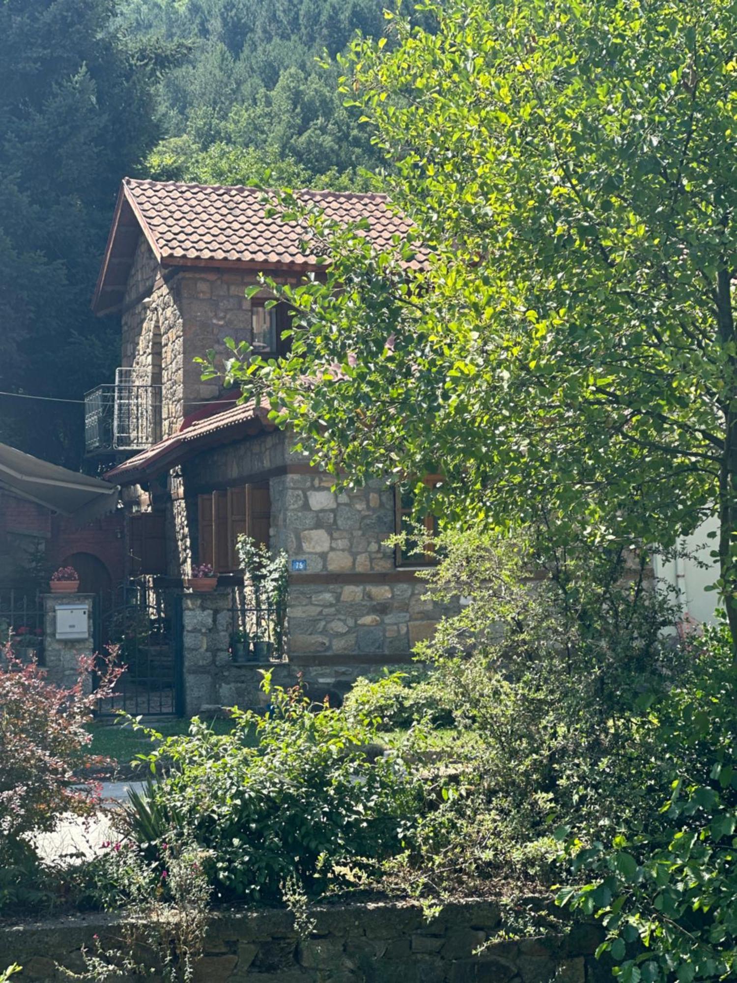 Urban River House Villa Florina Exterior photo